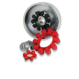TMS Element.pdf